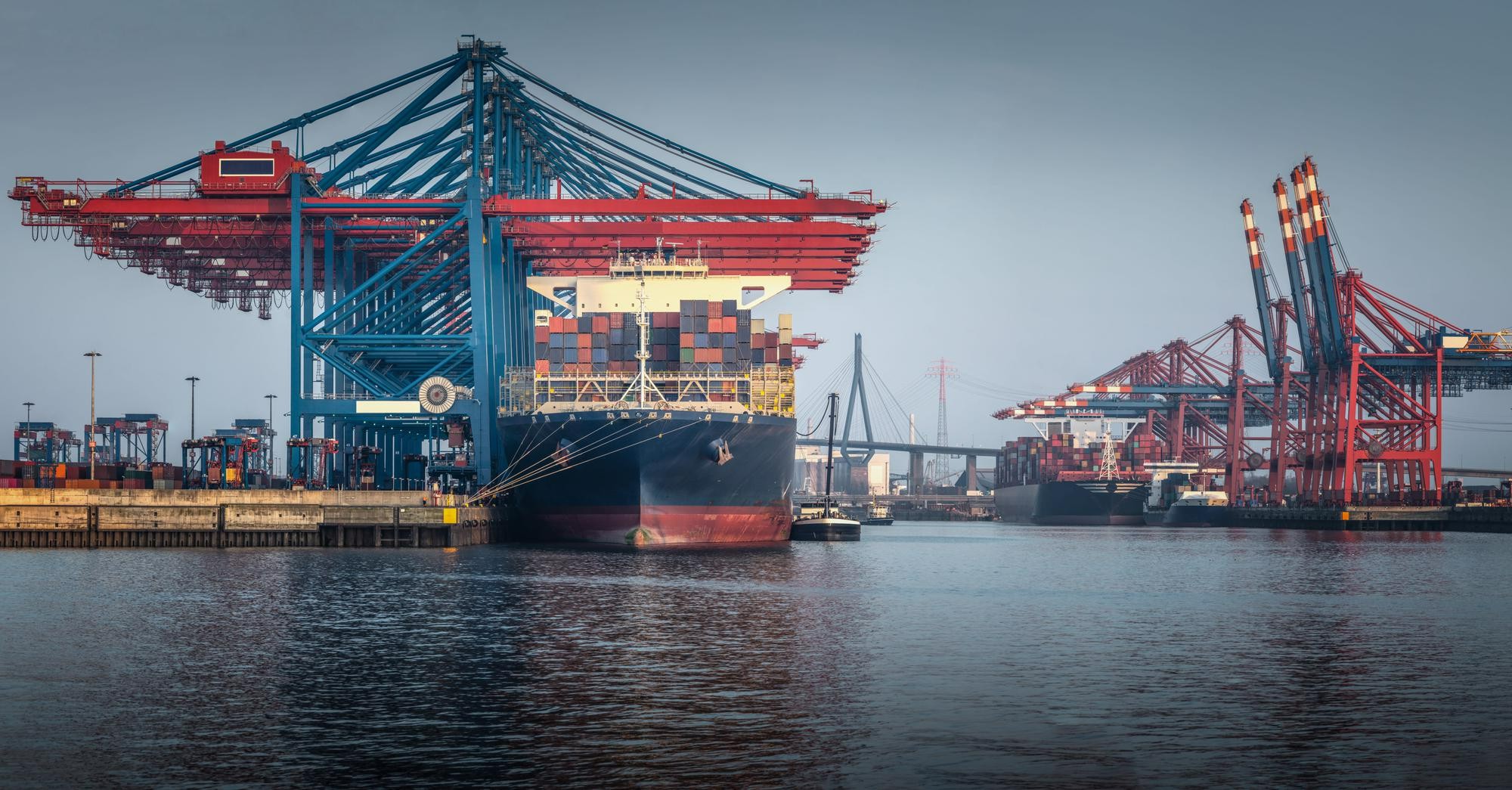 Kenali Perbedaan Antara Freight Forwarder