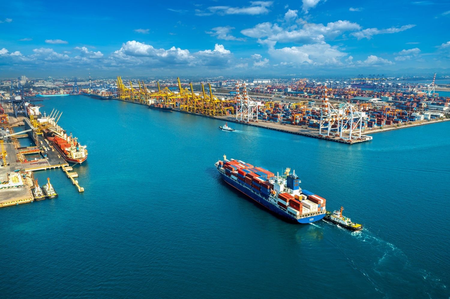 sea freight forwarding proces